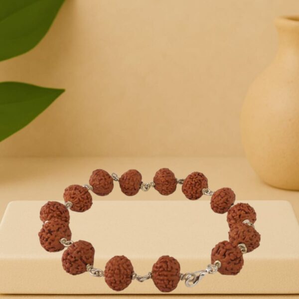 9 Mukhi (Nau Mukhi) Rudraksha Bracelet